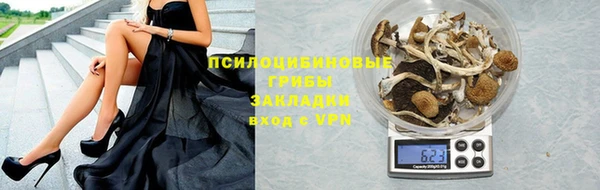 ПСИЛОЦИБИНОВЫЕ ГРИБЫ Арсеньев