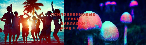 ПСИЛОЦИБИНОВЫЕ ГРИБЫ Арсеньев