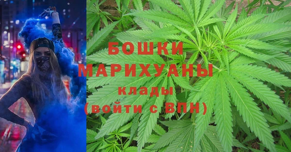 ПСИЛОЦИБИНОВЫЕ ГРИБЫ Арсеньев
