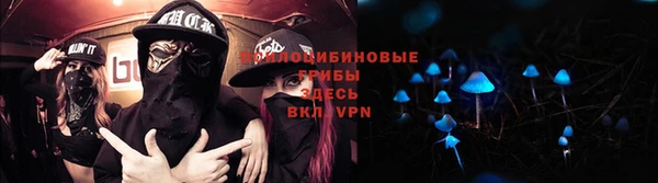 ПСИЛОЦИБИНОВЫЕ ГРИБЫ Арсеньев